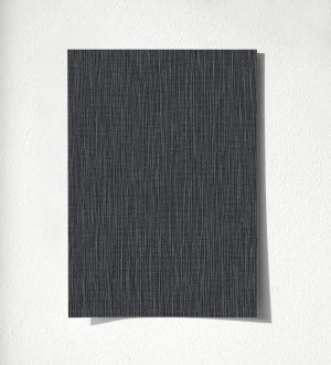 Muestra de papel pintado Essen Brushed 685165 Essen Brushed 500685165