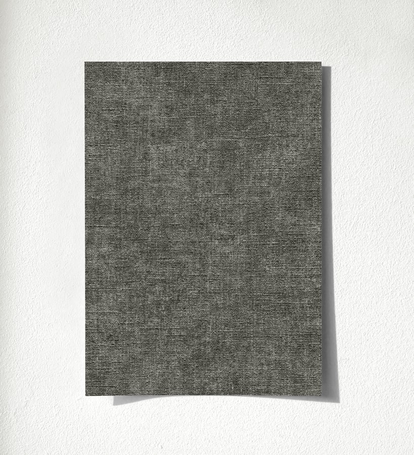 Muestra de papel pintado Raffton Shadow 685299  Raffton Shadow 500685299