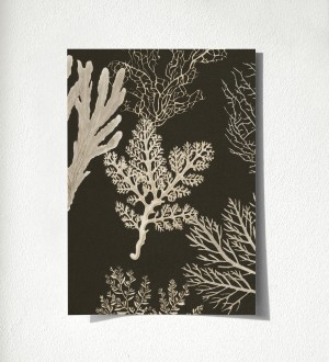 Muestra de papel pintado Baltic Forest 684533 Baltic Forest 500684533