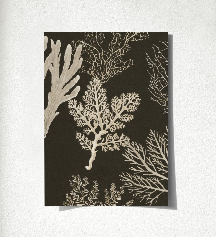 Muestra de papel pintado Baltic Forest 684533  Baltic Forest 500684533