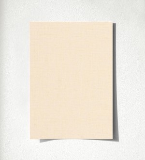 Muestra de papel pintado Batty Plain 684589 Batty Plain 500684589