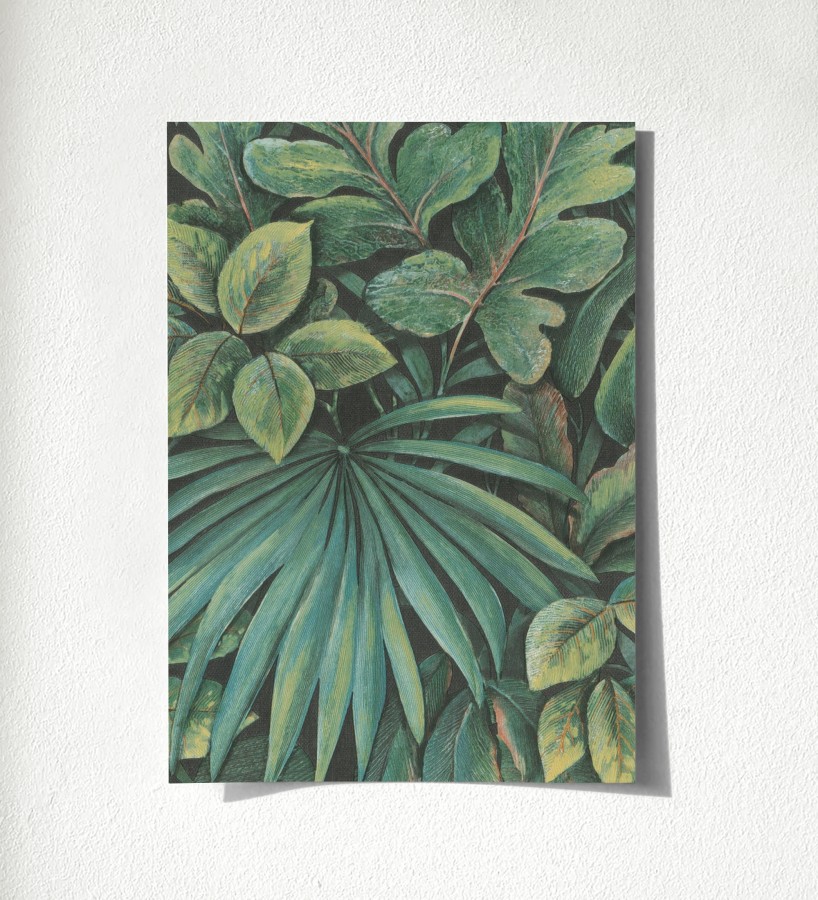 Muestra de papel pintado Soho Foliage 685234  Soho Foliage 500685234