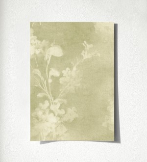 Muestra de papel pintado Provence Romantic 685115 Provence Romantic 500685115