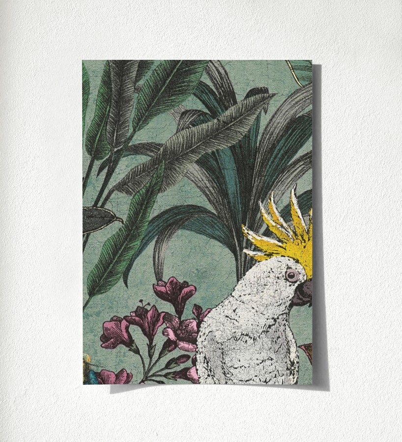 Muestra de papel pintado Cockatoo Bright 684979  Cockatoo Bright 500684979