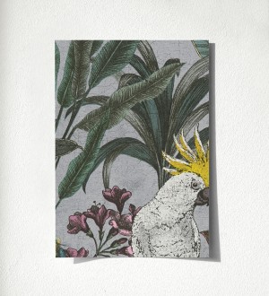 Muestra de papel pintado Cockatoo Bright 684980 Cockatoo Bright 500684980