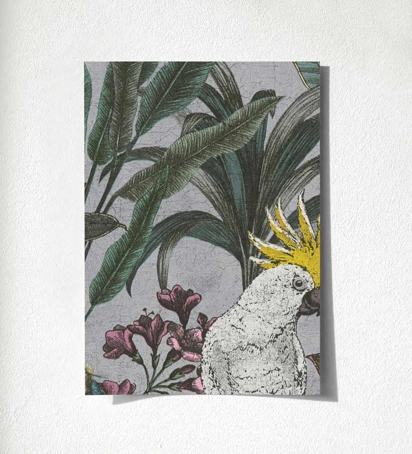 Muestra de papel pintado Cockatoo Bright 684980  Cockatoo Bright 500684980
