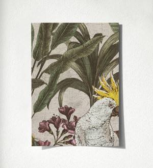 Muestra de papel pintado Cockatoo Bright 684981 Cockatoo Bright 500684981