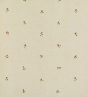 Papel pintado Norwall Rose Garden - - CG28854 | CG28854