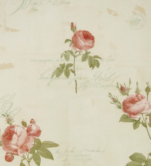 Papel pintado Norwall Rose Garden - - CG28861