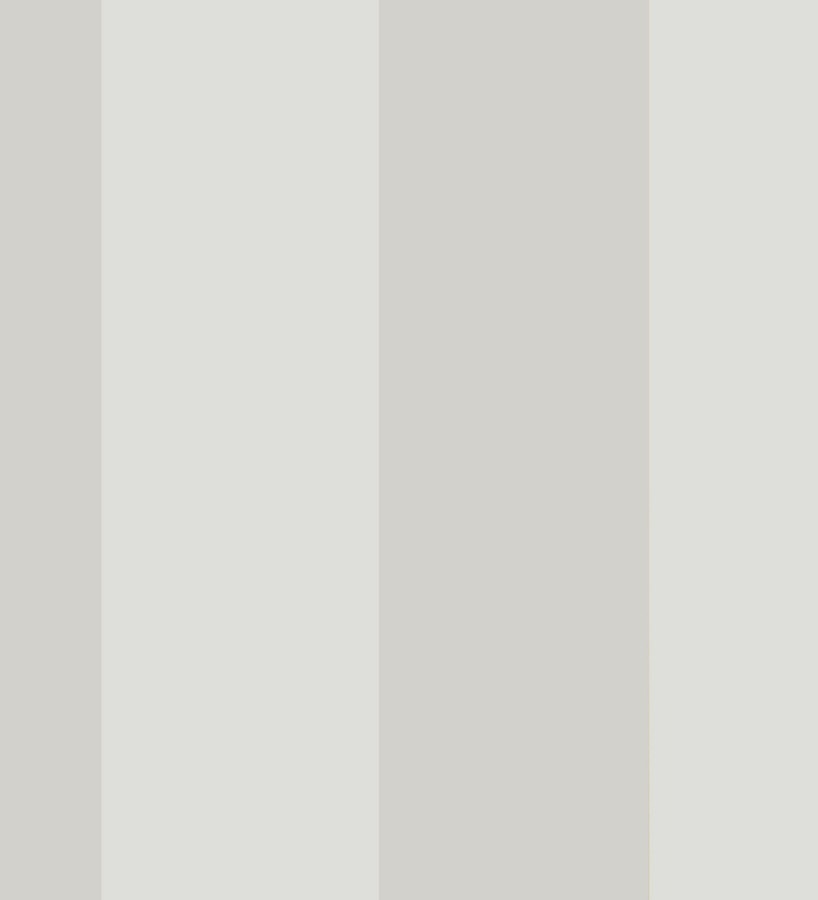 Papel pintado rayas anchas modernas gris claro y blanco Raya Nausite 119575