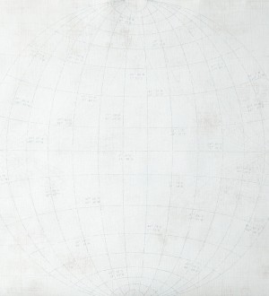 Papel pintado globo terráqueo paralelos y meridianos gris claro Nautilus 342173