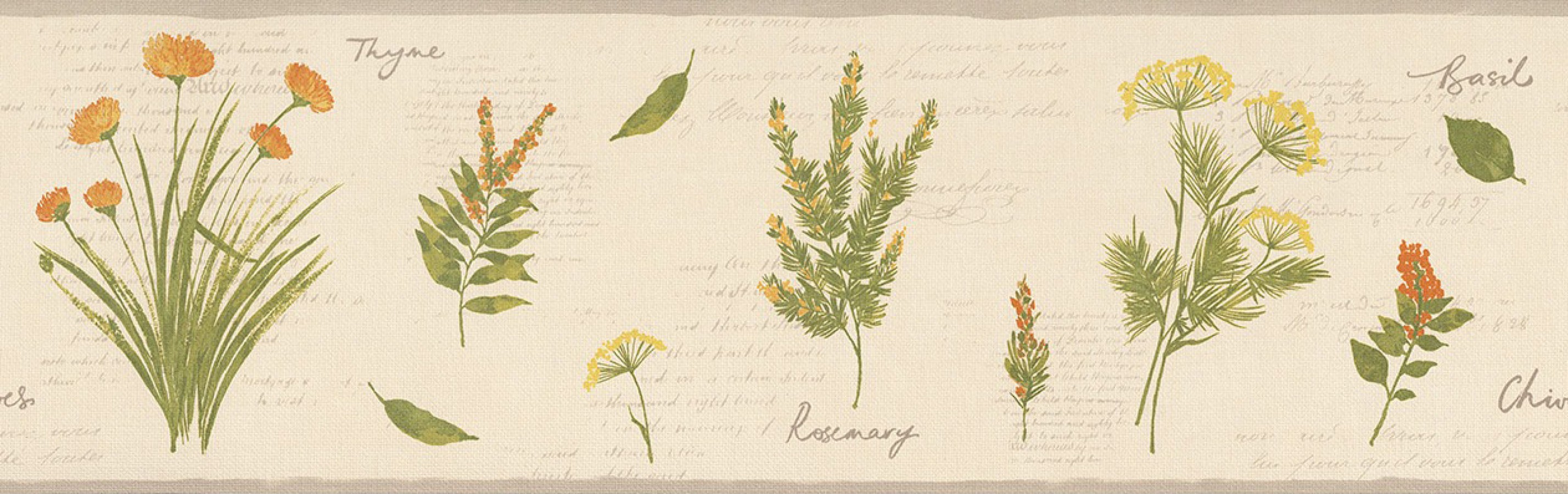 Cenefa plantas aromáticas con letras Lavender Leaves 342707