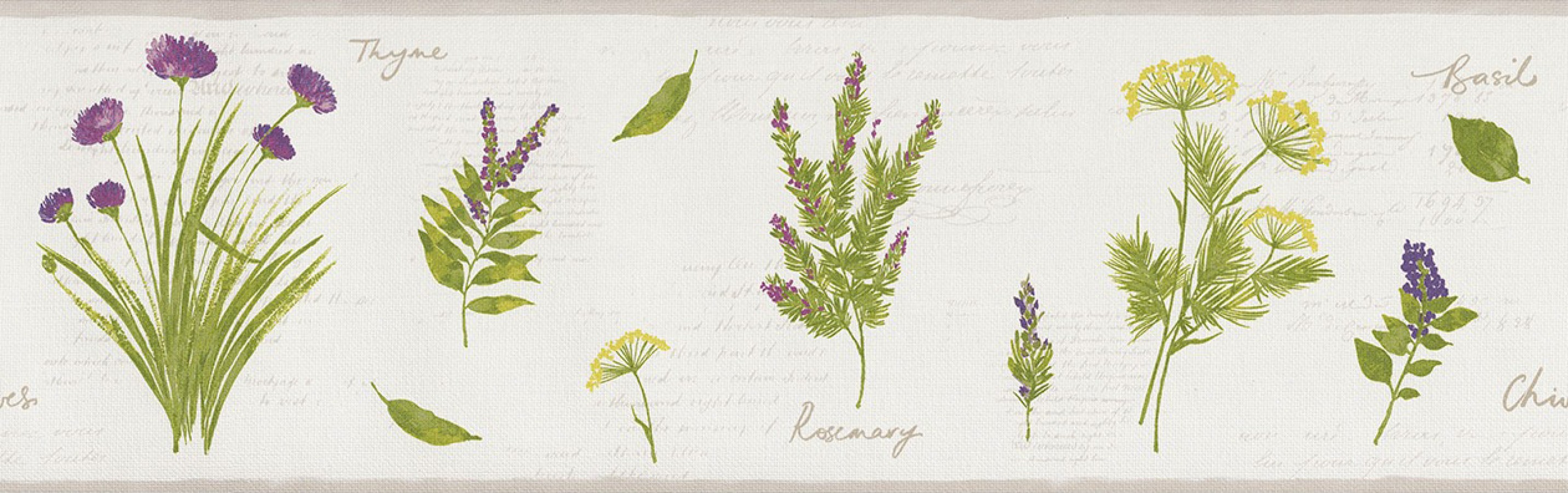 Cenefa plantas aromáticas con letras Lavender Leaves 342708