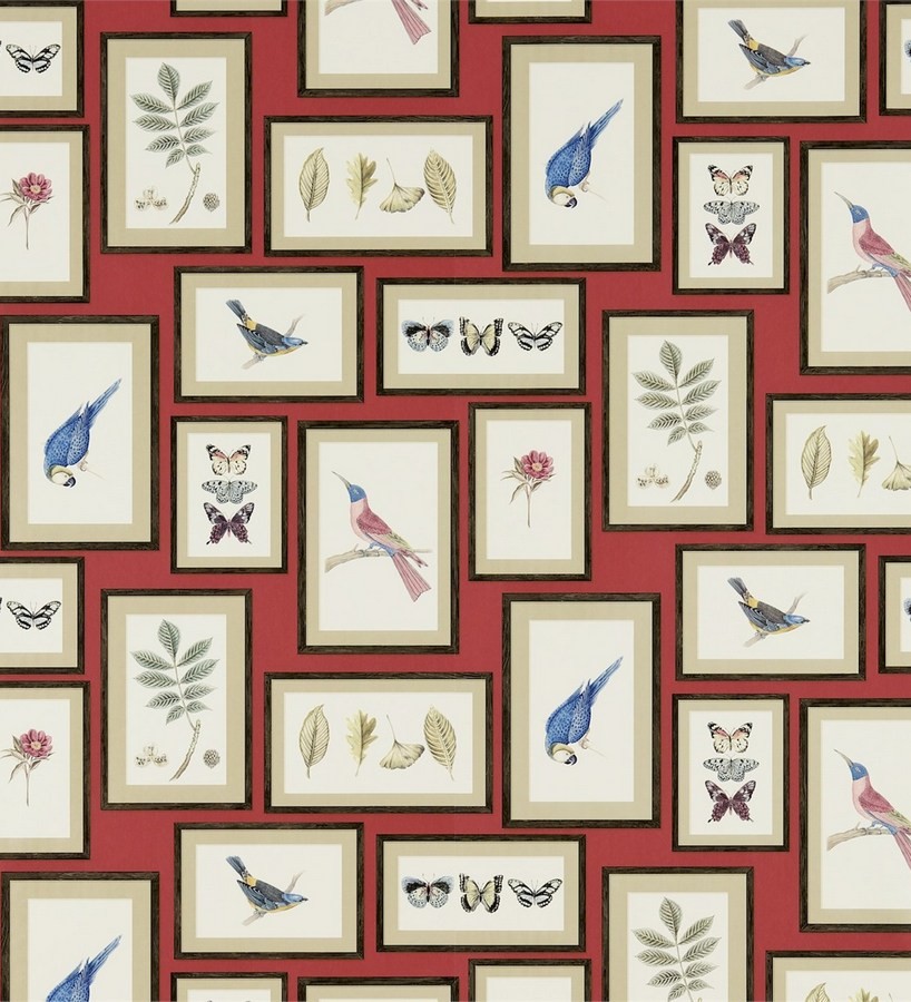 Papel pintado collage inglés de hojas y pájaros enmarcados Moray 565541