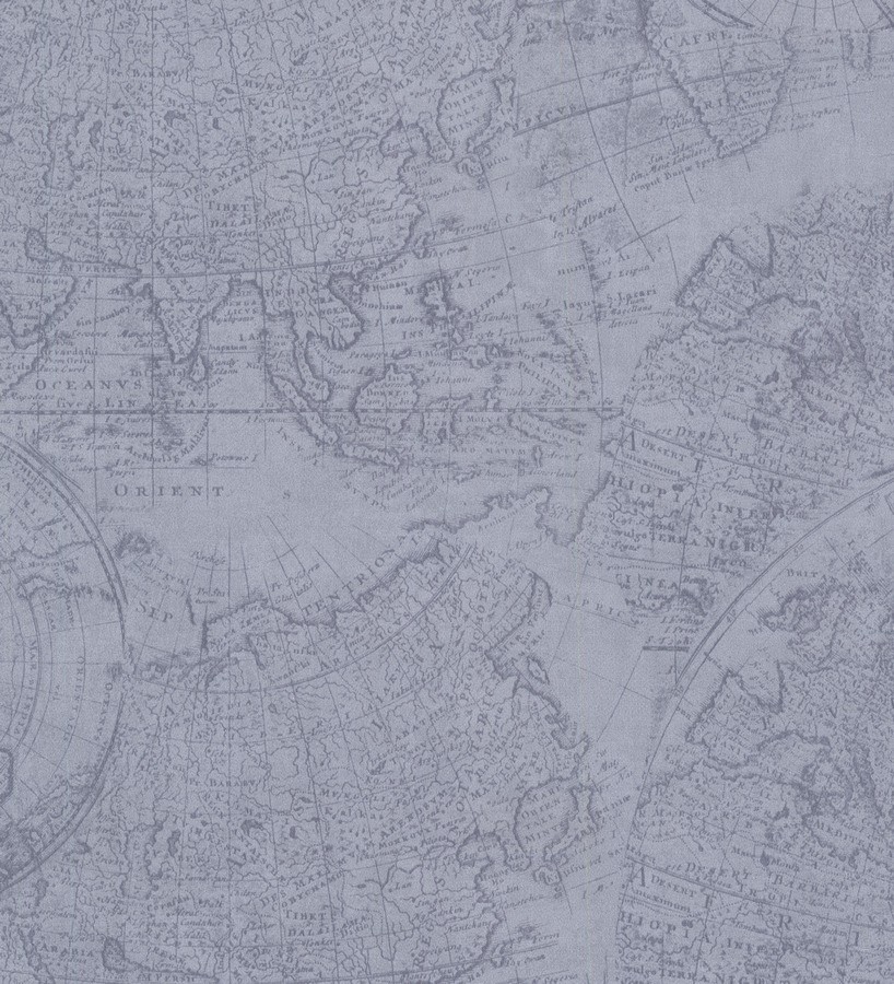 Papel pintado mapa cartográfico fondo azul grisáceo claro Esquivel 7403