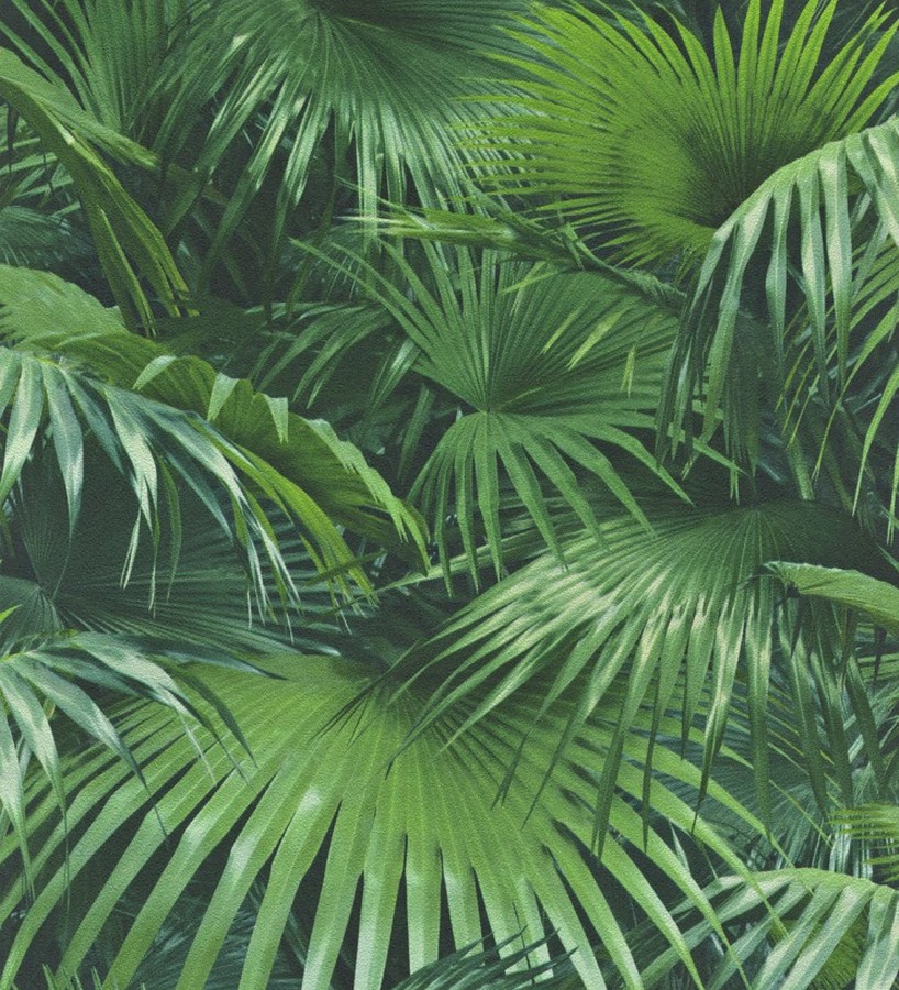 Papel pintado hojas de palmera de interior estilo tropical Managua 8805