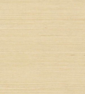 Papel pintado Kemen Grasscloth Volume II - VG4400