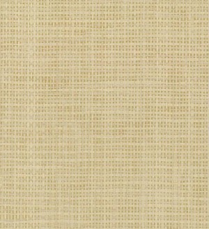 Papel pintado Kemen Grasscloth Volume II - VG4425