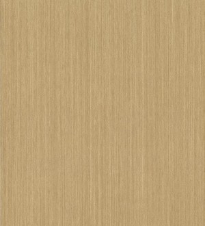 Papel pintado Kemen Grasscloth Volume II - VG4433