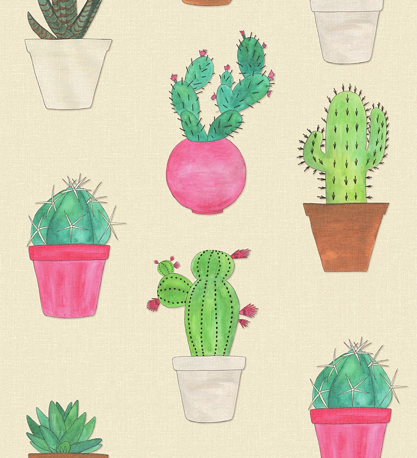 diseñador mostrador fractura Papel pintado macetas de cactus - Western Plants 677010