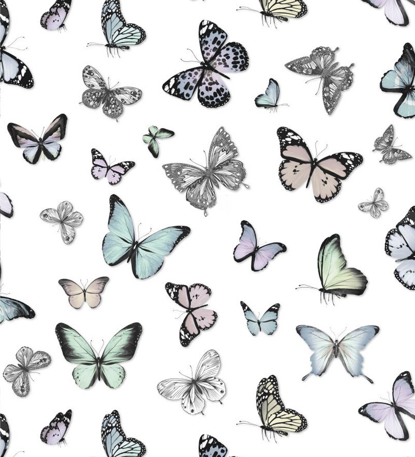 plan de ventas Deformar violación Papel pintado mariposas de colores fondo blanco - Natural Dance 677277