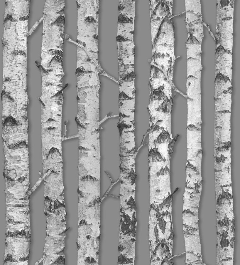 Papel pintado troncos de árboles estilo nórdico Baltic Hills 677294