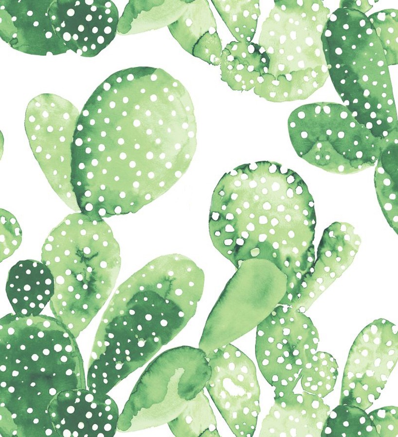 Sorprendido Previsión plato Papel pintado cactus en acuarela - Sonora Cactus 677304