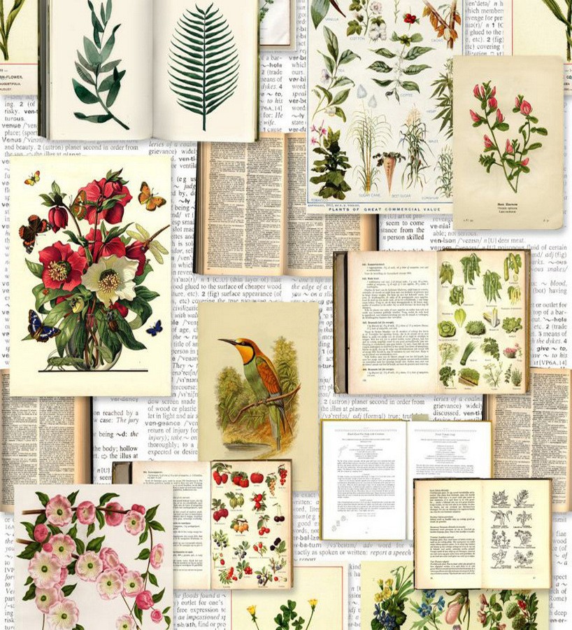 Papel pintado libro de colección de plantas Plants Book 677316