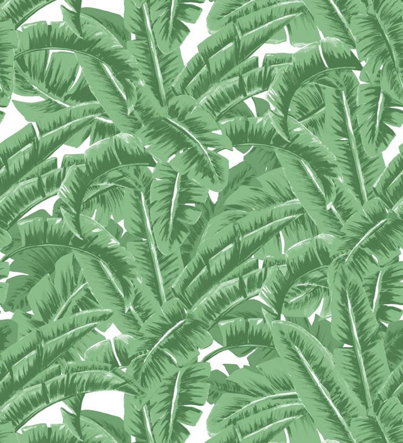 Papel pintado hojas de jungla estilo tropical Paipe Jungle 679027