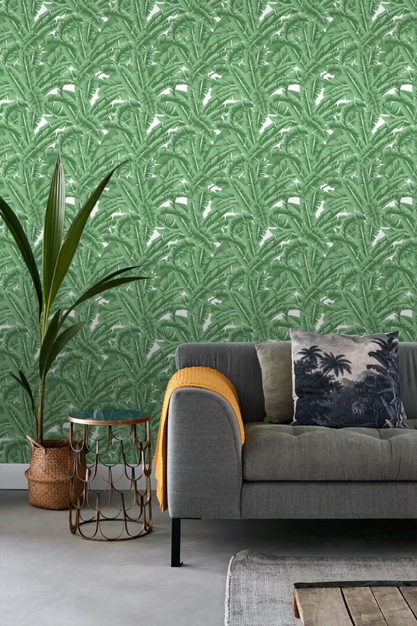 Papel pintado hojas de jungla estilo tropical Paipe Jungle 679027