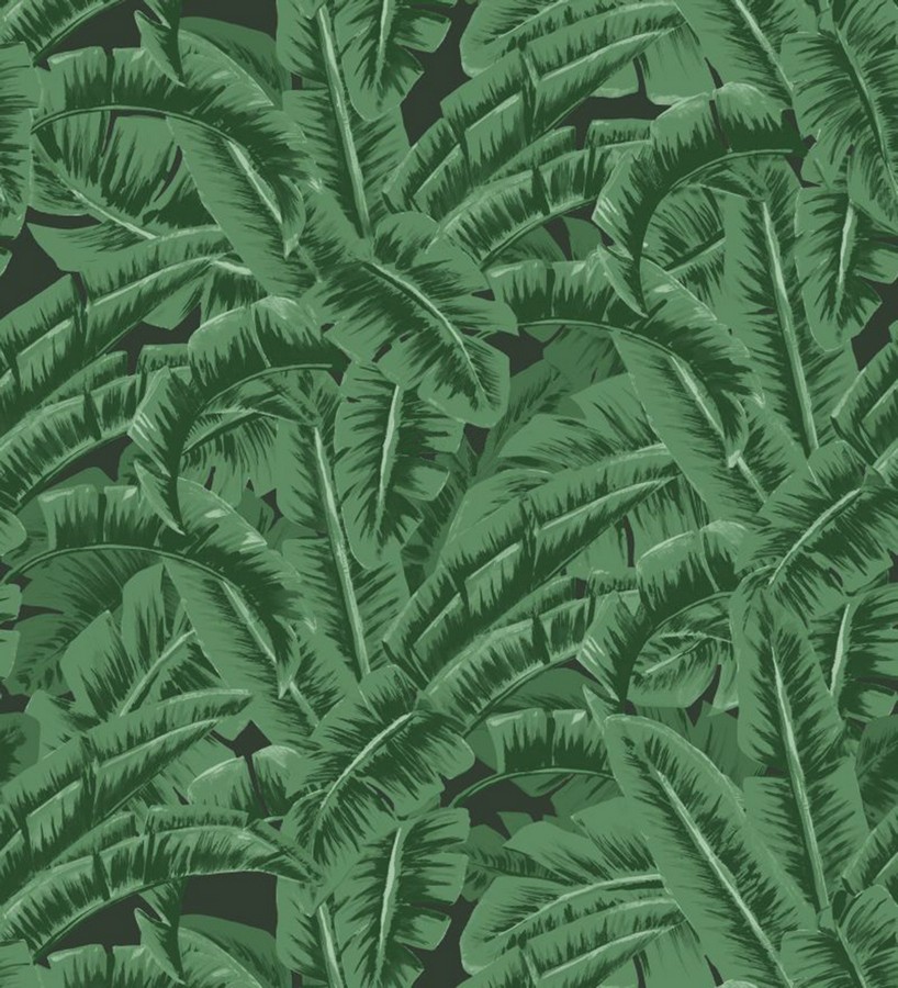 Papel pintado hojas de jungla estilo tropical Paipe Jungle 679028
