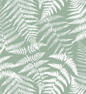 Papel pintado hojas de bosque tropical Boreal Forest 679041