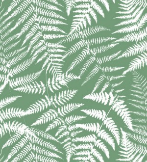 Papel pintado hojas de bosque tropical Boreal Forest 679042