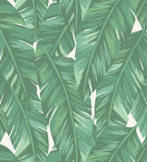 Papel pintado hojas de palmeras tropicales Summer in Beirut 679057