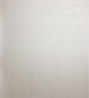 Papel pintado Atlas Wallcoverings Xplosion - 591-2 | 5912