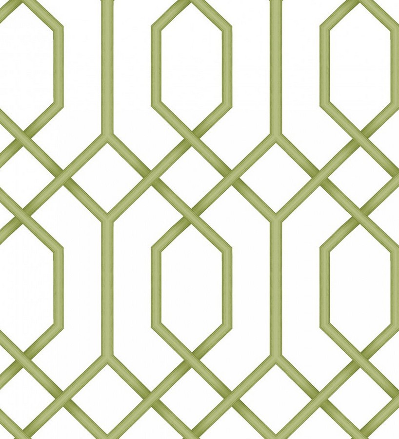 Papel pintado celosía geométrica verde estilo moderno Hexagon Modern 125833