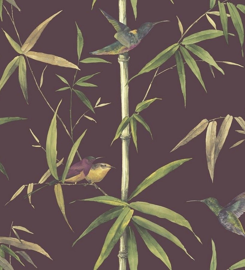 Papel pintado tropical con pájaros y hojas fondo oscuro Guinea Tropical 124173