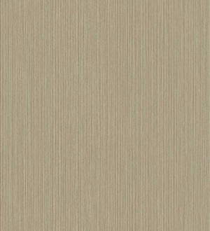 Papel pintado Exclusive Wallcoverings Architecture FD25335