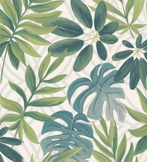 Papel pintado hojas grandes de monstera verde tropical Palm Springs 679451