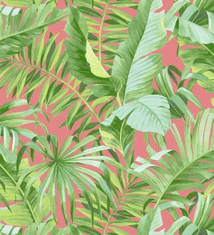 Papel pintado hojas tropicales Indonesia 680819