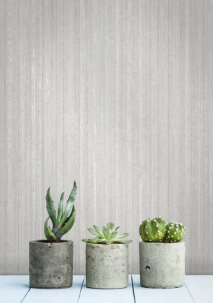 Papel pintado Corsini 679343 Corsini 679343