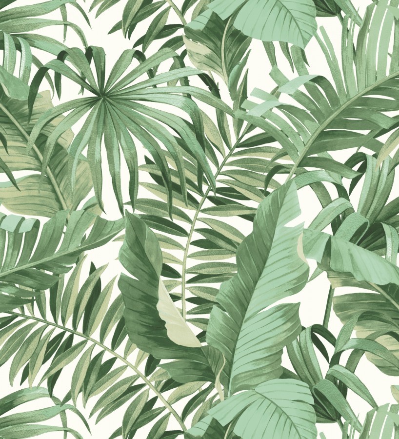 Papel pintado de hojas tropicales verde y blanco Maldivas Tropical 680938