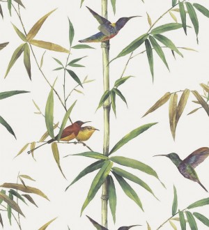 Papel pintado tropical con pájaros y hojas Guinea Tropical 124175