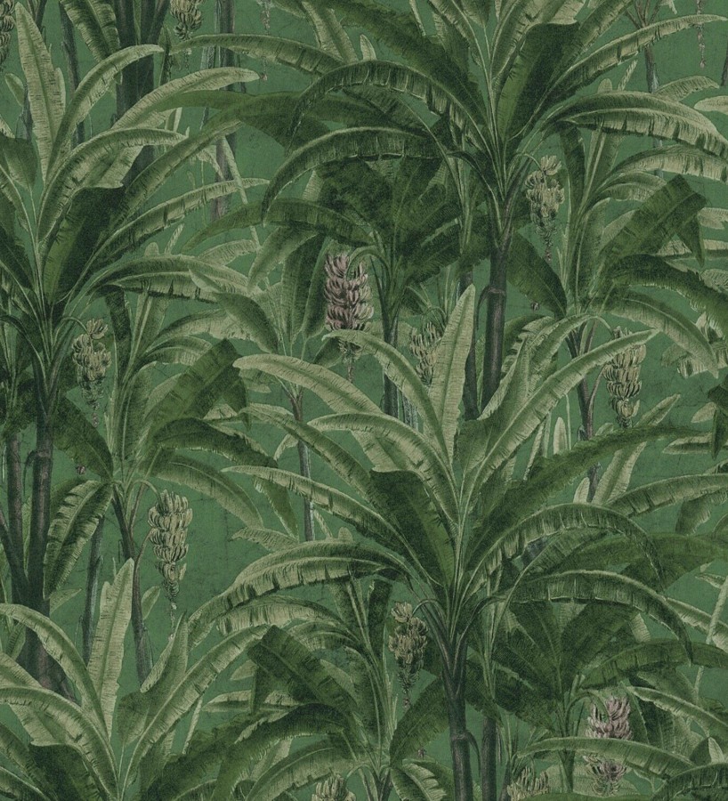 Papel pintado hojas de palmeras de la selva tropical Beirut Tropic 126338