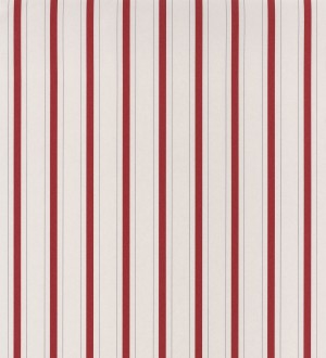 Albert Stripes 126498