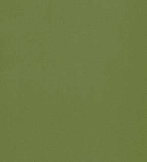 Papel pintado liso infantil verde oscuro Halden Texture 126506