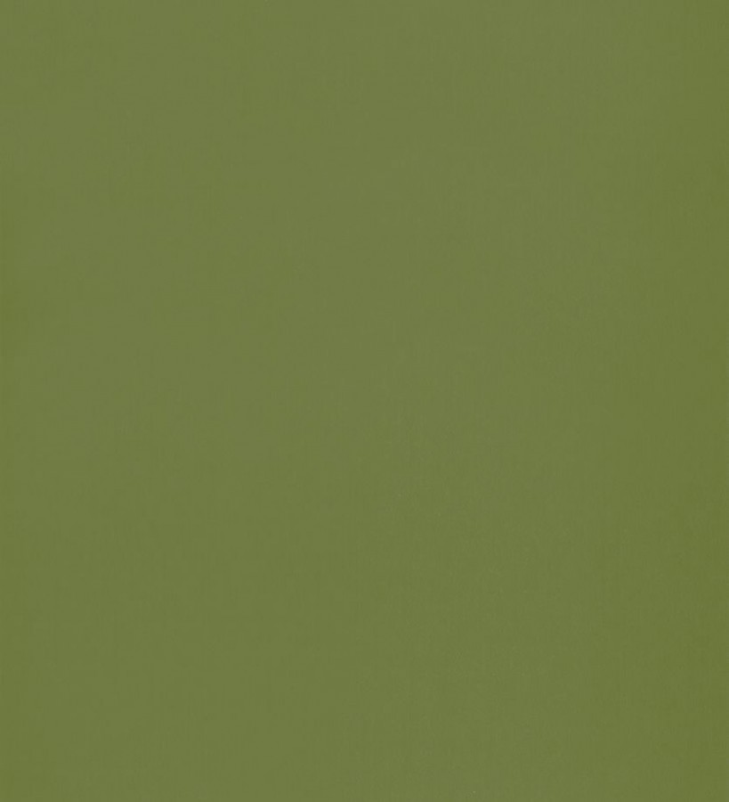 Papel pintado liso infantil verde oscuro Halden Texture 126506