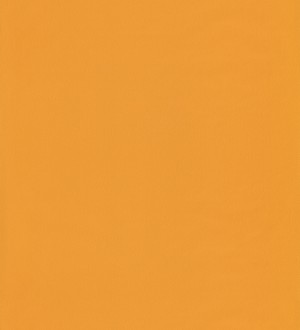 Papel pintado liso infantil naranja Daisy Texture 126718