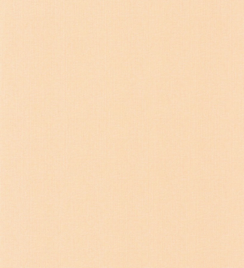 Papel pintado liso texturizado naranja muy claro Melvin Texture 126958