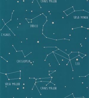 Papel pintado mapa de las constelaciones Astronomy 127041